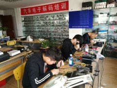 操美女逼逼白虎